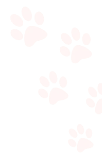 paws