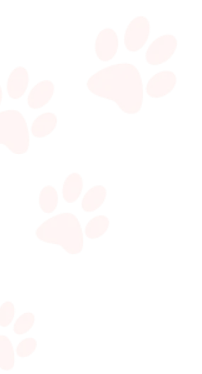 paws
